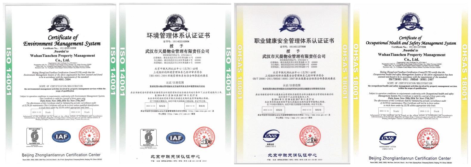 盛力国际(中国区)-官方网站