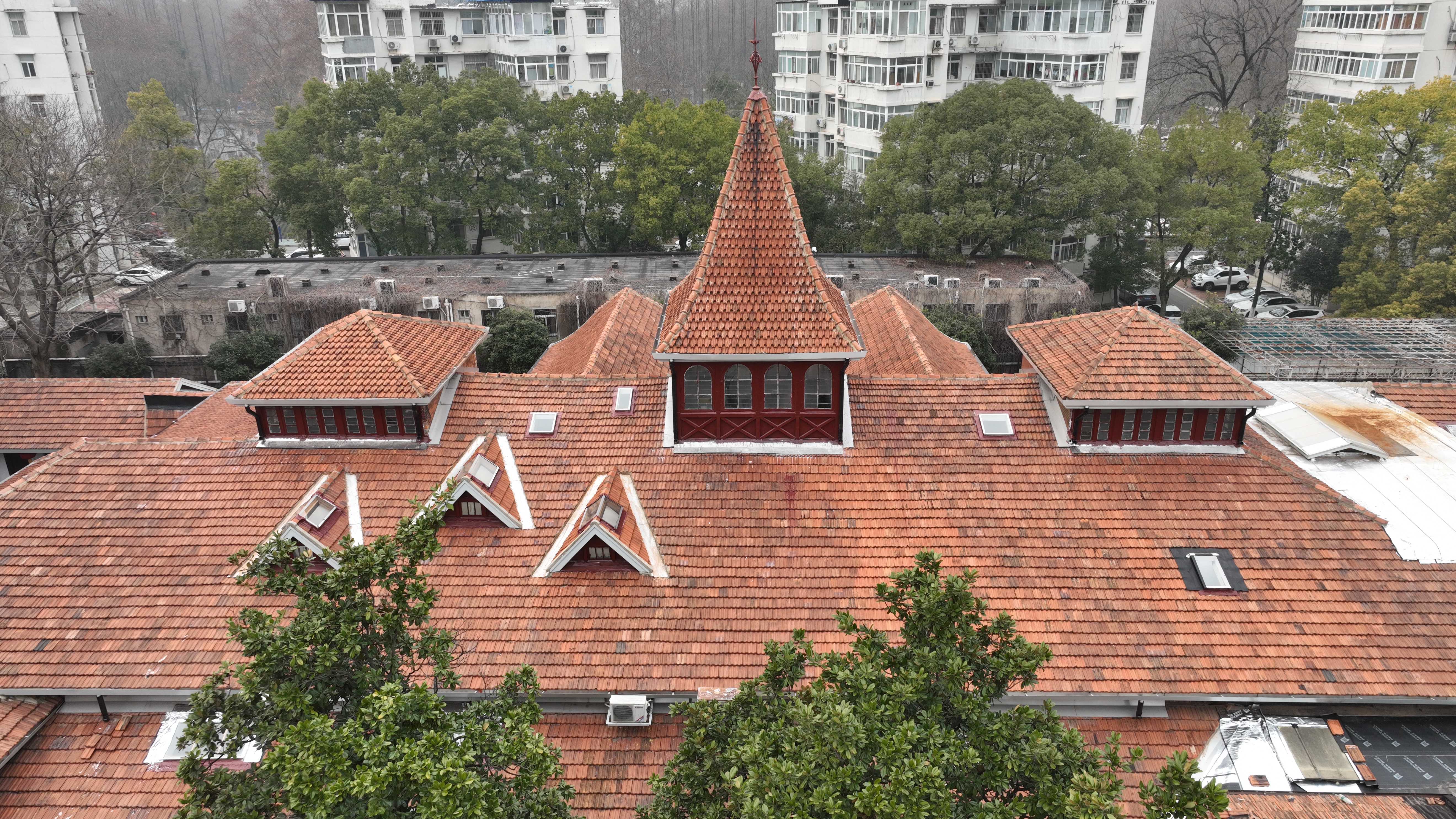 盛力国际(中国区)-官方网站