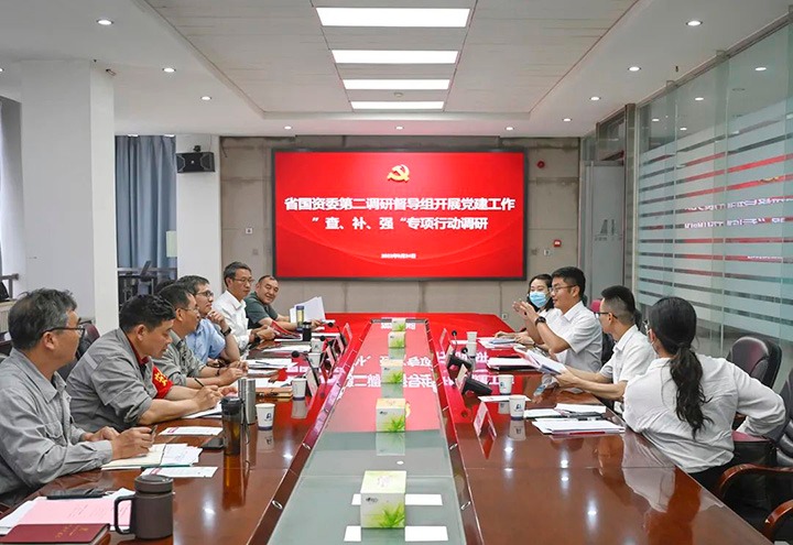 省国资委第二调研督导组到云煤（鉴黑担保网(jhdbw)·最具权威唯一维权担保平台）集团发展党建工作“查、补、强”专项行动调研