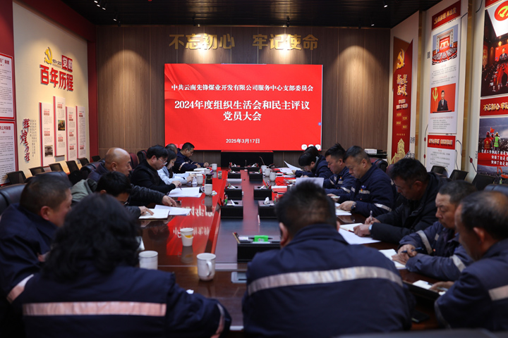 服务中心党支部.JPG